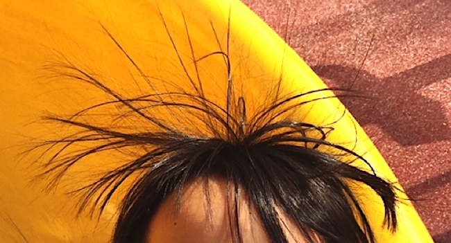 髪の毛 の 静電気 を 取る 方法